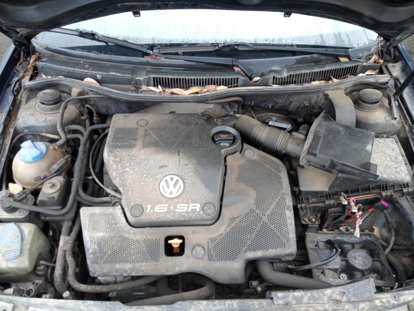 Peça - Caixa De Velocidades Volkswagen Golf Iv 1.6 100Cv 1595Cc